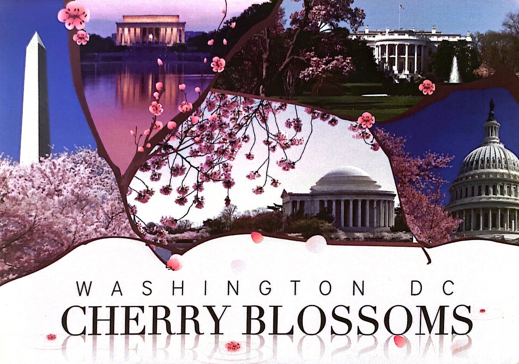 Post Card Washington - front