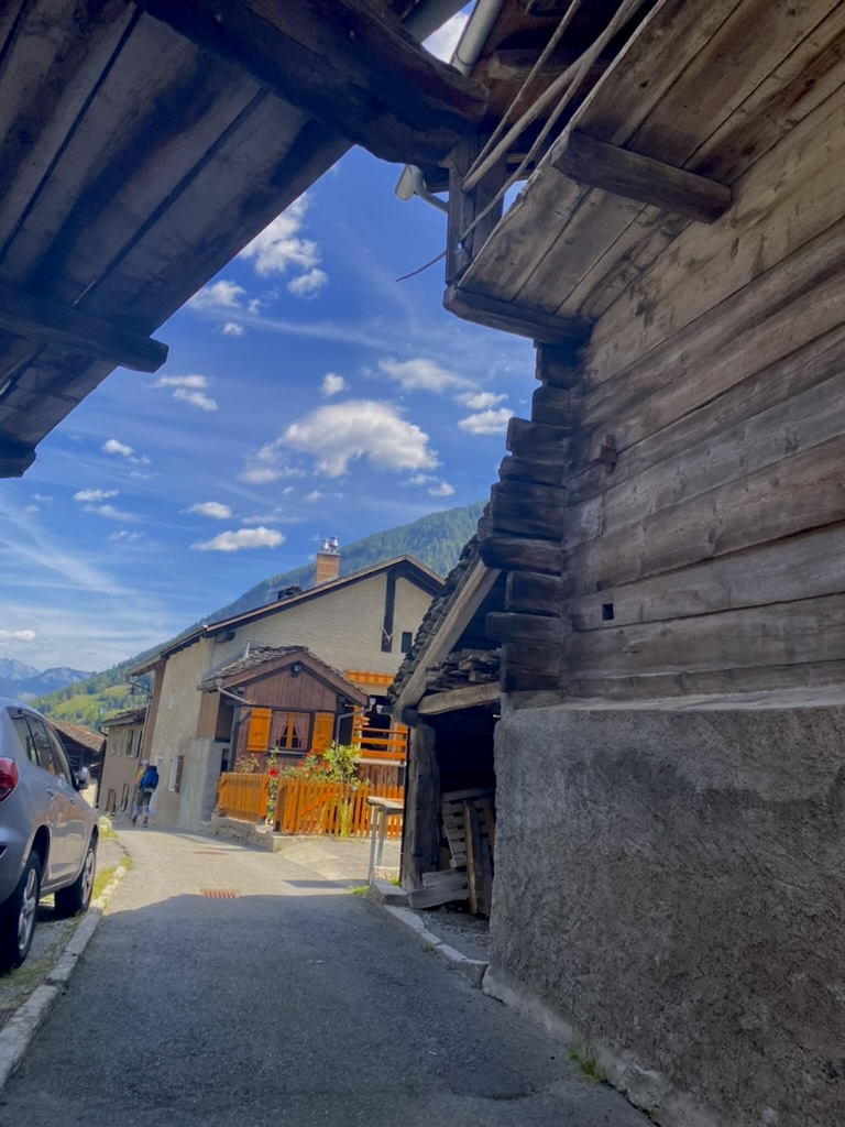 Sat elvețian - Praz de Fort