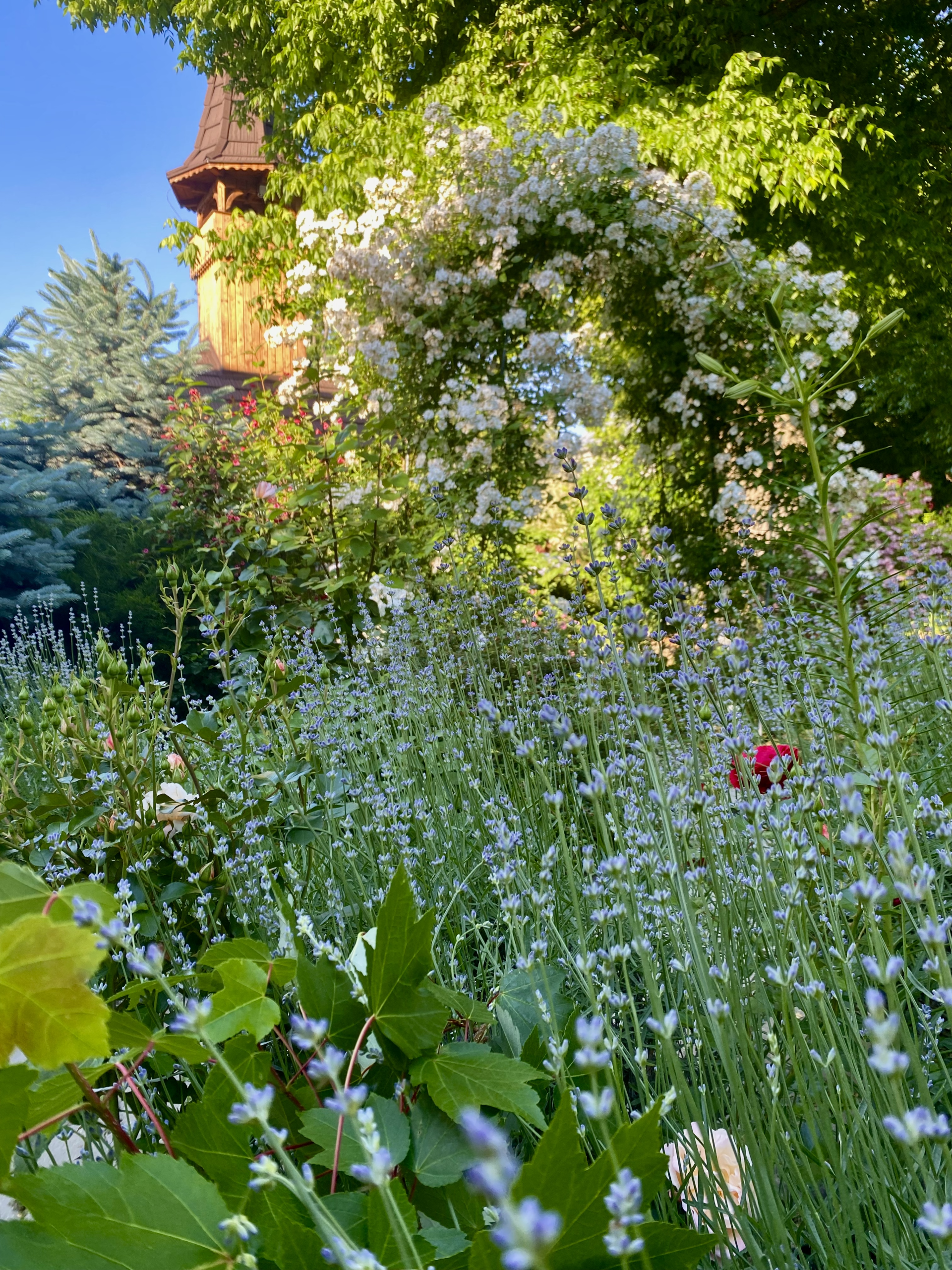 Curtea Spitalului